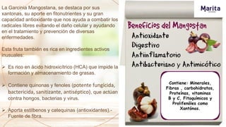 La Garcinia Mangostana, se destaca por sus
xantonas, su aporte en fitonutrientes y su gran
capacidad antioxidante que nos ayuda a combatir los
radicales libres evitando el daño celular y ayudando
en el tratamiento y prevención de diversas
enfermedades.
Esta fruta también es rica en ingredientes activos
inusuales:
 Es rico en ácido hidroxicítrico (HCA) que impide la
formación y almacenamiento de grasas.
 Contiene quinonas y fenoles (potente fungicida,
bactericida, sanitizante, antiséptico), que actúan
contra hongos, bacterias y virus.
 Aporta estilbenos y catequinas (antioxidantes).-
Fuente de fibra.
Contiene: Minerales,
Fibras , carbohidratos,
Proteínas, vitaminas
B y C, Fitoquímicos y
Prolifenóles como
Xantónas.
 