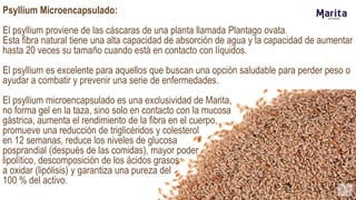 Psyllium Microencapsulado:
El psyllium proviene de las cáscaras de una planta llamada Plantago ovata.
Esta fibra natural tiene una alta capacidad de absorción de agua y la capacidad de aumentar
hasta 20 veces su tamaño cuando está en contacto con líquidos.
El psyllium es excelente para aquellos que buscan una opción saludable para perder peso o
ayudar a combatir y prevenir una serie de enfermedades.
El psyllium microencapsulado es una exclusividad de Marita,
no forma gel en la taza, sino solo en contacto con la mucosa
gástrica, aumenta el rendimiento de la fibra en el cuerpo,
promueve una reducción de triglicéridos y colesterol
en 12 semanas, reduce los niveles de glucosa
posprandial (después de las comidas), mayor poder
lipolítico, descomposición de los ácidos grasos
a oxidar (lipólisis) y garantiza una pureza del
100 % del activo.
 