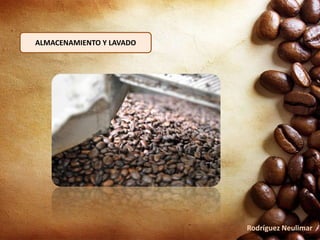 ALMACENAMIENTO Y LAVADO
Rodríguez Neulimar
 