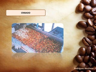 CRIBADO
Rodríguez Neulimar
 