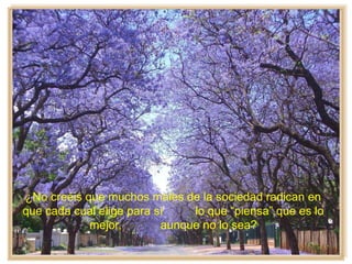 ¿No creéis que muchos males de la sociedad radican en
que cada cual elige para sí lo que “piensa” que es lo
mejor, aunque no lo sea?
 