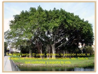 Las tazas serían: El poder, el dinero, la posición social, el
trabajo, las diversiones, las enfermedades, etc. Todo lo
que conforma y soporta la vida.
 