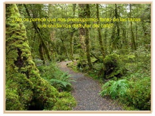 ¿No os parece que nos preocupamos tanto de las tazas
que olvidamos disfrutar del café?.
 