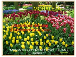MORALEJA:
Y demos gracias a Dios que nos concede el “café y
las tazas”. Jejisánchez
¡Disfrutemos del café!
¡Disfrutemos de la vida!
 