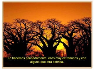 Lo hacemos pausadamente, ellos muy extrañados y con
alguna que otra sonrisa.
 