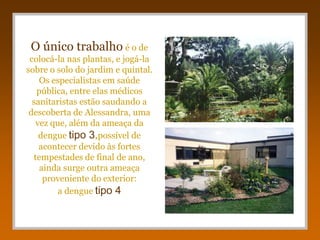 O único trabalho é o de
 colocá-la nas plantas, e jogá-la
sobre o solo do jardim e quintal.
    Os especialistas em saúde
   pública, entre elas médicos
  sanitaristas estão saudando a
 descoberta de Alessandra, uma
   vez que, além da ameaça da
    dengue tipo 3,possível de
    acontecer devido às fortes
  tempestades de final de ano,
    ainda surge outra ameaça
     proveniente do exterior:
         a dengue tipo 4
 