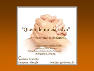 “Quem denuncia salva”
       ...Juntos somos mais fortes...

              Texto técnico enviado por :
                LucianaRocha Antunes
       Bióloga Especialista em Gestão Ambiental
               Obrigada Luciana.
Criação: Tea Lótus
Imagens : Google                 tealotus3@oi.com.br
 