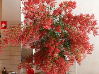 Cafe Design Ideas 2015