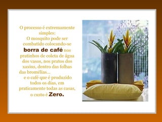 O processo é extremamente
           simples:
     O mosquito pode ser
  combatido colocando-se
  borra de café nos
pratinhos de coleta de água
 dos vasos, nos pratos dos
  xaxins, dentro das folhas
das bromélias...
   e o café que é produzido
       todos os dias, em
praticamente todas as casas,
       o custo é Zero.
 