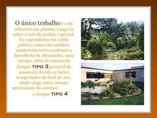 O único trabalho é o de
 colocá-la nas plantas, e jogá-la
sobre o solo do jardim e quintal.
    Os especialistas em saúde
   pública, entre elas médicos
  sanitaristas estão saudando a
 descoberta de Alessandra, uma
   vez que, além da ameaça da
   dengue tipo 3,possível de
    acontecer devido às fortes
  tempestades de final de ano,
    ainda surge outra ameaça
proveniente do exterior:
           a dengue tipo 4
 