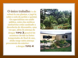 O único trabalho é o de
 colocá-la nas plantas, e jogá-la
sobre o solo do jardim e quintal.
    Os especialistas em saúde
   pública, entre elas médicos
  sanitaristas estão saudando a
 descoberta de Alessandra, uma
   vez que, além da ameaça da
   dengue tipo 3,possível de
    acontecer devido às fortes
  tempestades de final de ano,
    ainda surge outra ameaça
proveniente do exterior:
           a dengue tipo 4
 