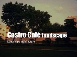 Castro Café landscape 
Landscape architecture 
 