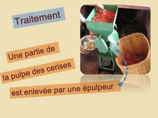 TraitementUnepartie dela pulpe des cerisesest enlevée par une épulpeur