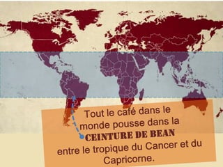 Tout le café dans le monde pousse dans laceinture de Bean entre le tropique du Cancer et du Capricorne. 