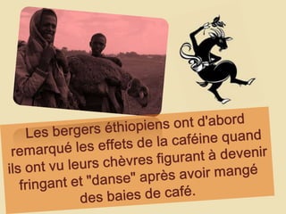 Les bergers éthiopiens ont d'abord remarqué les effets de la caféine quand ils ont vu leurs chèvres figurant à devenir fringant et "danse" après avoir mangé des baies de café. 