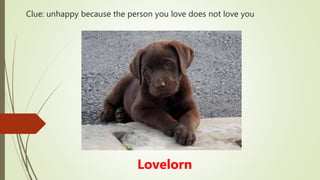 Clue: unhappy because the person you love does not love you
Lovelorn
 