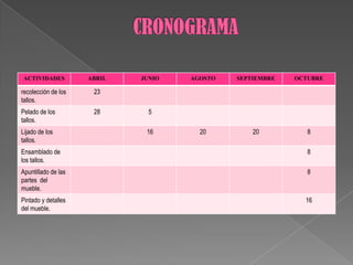 ACTIVIDADES          ABRIL   JUNIO   AGOSTO   SEPTIEMBRE   OCTUBRE

recolección de los    23
tallos.
Pelado de los         28       5
tallos.
Lijado de los                 16       20         20          8
tallos.
Ensamblado de                                                 8
los tallos.
Apuntillado de las                                            8
partes del
mueble.
Pintado y detalles                                           16
del mueble.
 