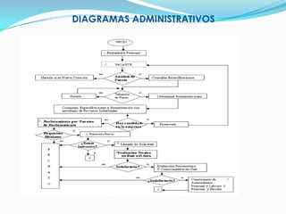 ORGANIZACIÓN ADMINISTRATIVA (ORGANIGRAMA)