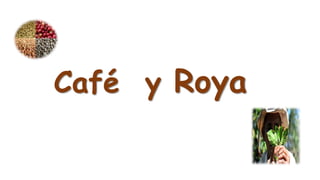 Café y Roya
 