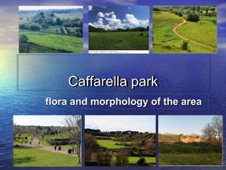 Caffarella park
flora and morphology of the area
 