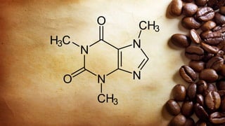 Caffeine | PPTX