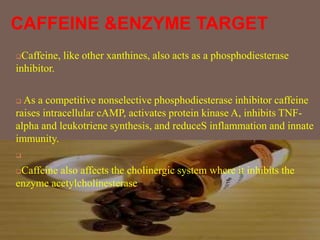 CAFFEINE &ENZYME TARGET
Caffeine, like other xanthines, also acts as a phosphodiesterase
inhibitor.
 As a competitive nonselective phosphodiesterase inhibitor caffeine
raises intracellular cAMP, activates protein kinase A, inhibits TNF-
alpha and leukotriene synthesis, and reduceS inflammation and innate
immunity.

Caffeine also affects the cholinergic system where it inhibits the
enzyme acetylcholinesterase
 