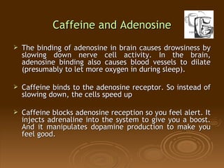 Caffeine and Adenosine <ul><li>The binding of adenosine in brain causes drowsiness by slowing down nerve cell activity. In...