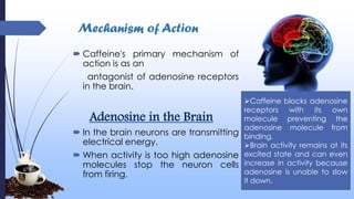 Mechanism of Action
 Caffeine's primary mechanism of
action is as an
antagonist of adenosine receptors
in the brain.
Adenosine in the Brain
 In the brain neurons are transmitting
electrical energy.
 When activity is too high adenosine
molecules stop the neuron cells
from firing.
Caffeine blocks adenosine
receptors with its own
molecule preventing the
adenosine molecule from
binding.
Brain activity remains at its
excited state and can even
increase in activity because
adenosine is unable to slow
it down.
 