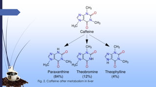 Fig. 2. Caffeine after metabolism in liver
 