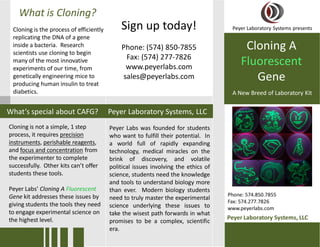 What is Cloning?
 Cloning is the process of efficiently       Sign up today!                          Peyer Laboratory Systems presents
 replicating the DNA of a gene
 inside a bacteria. Research
 scientists use cloning to begin
                                             Phone: (574) 850-7855                        Cloning A
                                              Fax: (574) 277-7826
 many of the most innovative
 experiments of our time, from                www.peyerlabs.com
                                                                                         Fluorescent
 genetically engineering mice to
 producing human insulin to treat
                                             sales@peyerlabs.com                            Gene
 diabetics.                                                                          A New Breed of Laboratory Kit

What’s special about CAFG?               Peyer Laboratory Systems, LLC
Cloning is not a simple, 1 step          Peyer Labs was founded for students
process, it requires precision           who want to fulfill their potential. In
instruments, perishable reagents,        a world full of rapidly expanding
and focus and concentration from         technology, medical miracles on the
the experimenter to complete             brink of discovery, and volatile
successfully. Other kits can’t offer     political issues involving the ethics of
students these tools.                    science, students need the knowledge
                                         and tools to understand biology more
Peyer Labs’ Cloning A Fluorescent        than ever. Modern biology students
Gene kit addresses these issues by                                                  Phone: 574.850.7855
                                         need to truly master the experimental
                                                                                    Fax: 574.277.7826
giving students the tools they need      science underlying these issues to         www.peyerlabs.com
to engage experimental science on        take the wisest path forwards in what
the highest level.                                                                  Peyer Laboratory Systems, LLC
                                         promises to be a complex, scientific
                                         era.
 