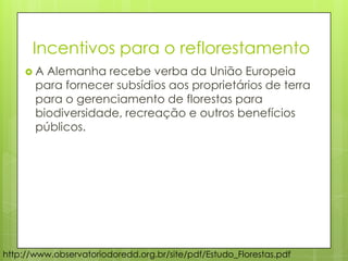 Incentivos para o reflorestamento
 A Alemanha recebe verba da União Europeia
para fornecer subsídios aos proprietários de terra
para o gerenciamento de florestas para
biodiversidade, recreação e outros benefícios
públicos.
http://www.observatoriodoredd.org.br/site/pdf/Estudo_Florestas.pdf
 