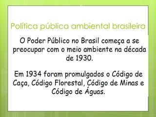 Política pública ambiental brasileira
23/03/2015
58
 