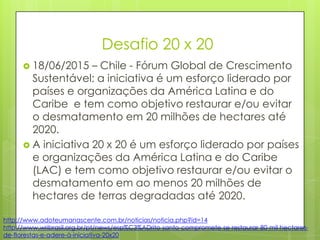 Desafio 20 x 20
 18/06/2015 – Chile - Fórum Global de Crescimento
Sustentável: a iniciativa é um esforço liderado por
países e organizações da América Latina e do
Caribe e tem como objetivo restaurar e/ou evitar
o desmatamento em 20 milhões de hectares até
2020.
 A iniciativa 20 x 20 é um esforço liderado por países
e organizações da América Latina e do Caribe
(LAC) e tem como objetivo restaurar e/ou evitar o
desmatamento em ao menos 20 milhões de
hectares de terras degradadas até 2020.
http://www.adoteumanascente.com.br/noticias/noticia.php?id=14
http://www.wribrasil.org.br/pt/news/esp%C3%ADrito-santo-compromete-se-restaurar-80-mil-hectares-
de-florestas-e-adere-à-iniciativa-20x20
 
