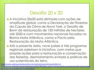 Desafio 20 x 20
 A Iniciativa 20x20 está alinhada com ações de
amplitude global, como a Declaração de Florestas
da Cúpula de Clima de Nova York, o Desafio de
Bonn de restauração de 150 milhões de hectares
até 2020 e com movimentos nacionais focados no
Bioma Mata Atlântica, como o Pacto pela
Restauração da Mata Atlântica.
 Até a presente data, nove países e três programas
regionais aderiram à iniciativa, com metas que
propõe ações para a restauração e conservação
das florestas, desmatamento evitado e práticas de
uso sustentáveis da terra.
http://www.adoteumanascente.com.br/noticias/noticia.php?id=14
http://www.wribrasil.org.br/pt/news/esp%C3%ADrito-santo-compromete-se-restaurar-80-mil-hectares-
de-florestas-e-adere-à-iniciativa-20x20
 