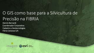 O GIS como base para a Silvicultura de
Precisão na FIBRIA
Dennis Bernardi
Coordenador Corporativo
Cadastro e Geotecnologias
Fibria Celulose S/A
 