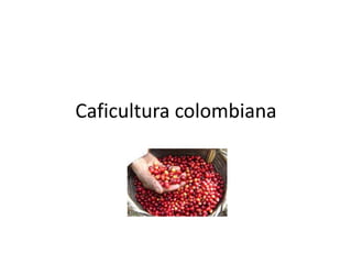 Caficultura colombiana
 