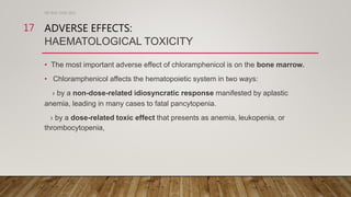 ADVERSE EFFECTS:
HAEMATOLOGICAL TOXICITY
• The most important adverse effect of chloramphenicol is on the bone marrow.
• Chloramphenicol affects the hematopoietic system in two ways:
› by a non-dose-related idiosyncratic response manifested by aplastic
anemia, leading in many cases to fatal pancytopenia.
› by a dose-related toxic effect that presents as anemia, leukopenia, or
thrombocytopenia,
DR WAF JUNE 2021
17
 