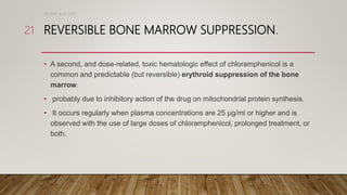 REVERSIBLE BONE MARROW SUPPRESSION.
• A second, and dose-related, toxic hematologic effect of chloramphenicol is a
common and predictable (but reversible) erythroid suppression of the bone
marrow.
• probably due to inhibitory action of the drug on mitochondrial protein synthesis.
• It occurs regularly when plasma concentrations are 25 µg/ml or higher and is
observed with the use of large doses of chloramphenicol, prolonged treatment, or
both.
DR WAF JUNE 2021
21
 