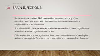 BRAIN INFECTIONS.
• Because of its excellent BBB penetration (far superior to any of the
cephalosporins), chloramphenicol remains the first choice treatment for
staphylococcal brain abscesses.
• It is also useful in the treatment of brain abscesses due to mixed organisms or
when the causative organism is not known.
• Chloramphenicol is active against the three main bacterial causes of meningitis:
Neisseria meningitidis, Streptococcus pneumoniae and Haemophilus influenzae.
DR WAF JUNE 2021
28
 