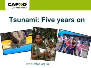 Tsunami: Five years on 