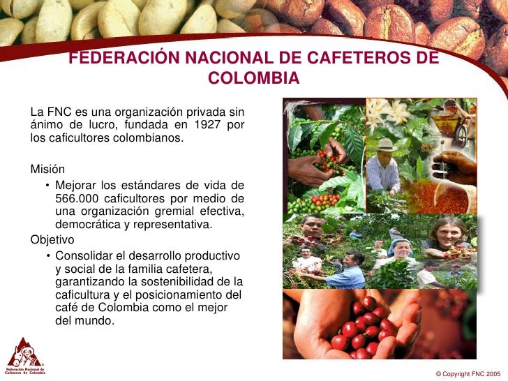 caf 233 organico caf 233 organico