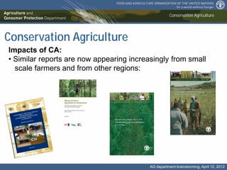 Conservation Agriculture the base for a sustainable intensification of ...