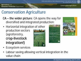 Conservation Agriculture the base for a sustainable intensification of ...