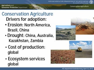 Conservation Agriculture the base for a sustainable intensification of ...