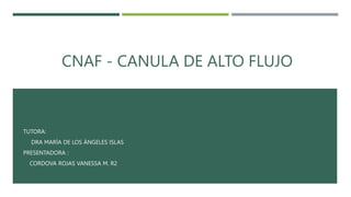CNAF - CANULA DE ALTO FLUJO
TUTORA:
DRA MARÍA DE LOS ÁNGELES ISLAS
PRESENTADORA :
CORDOVA ROJAS VANESSA M. R2
 