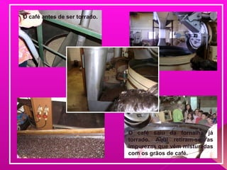 O café antes de ser torrado.
O café saiu da fornalha já
torrado. Aqui retiram-se as
impurezas que vêm misturadas
com os grãos de café.
 