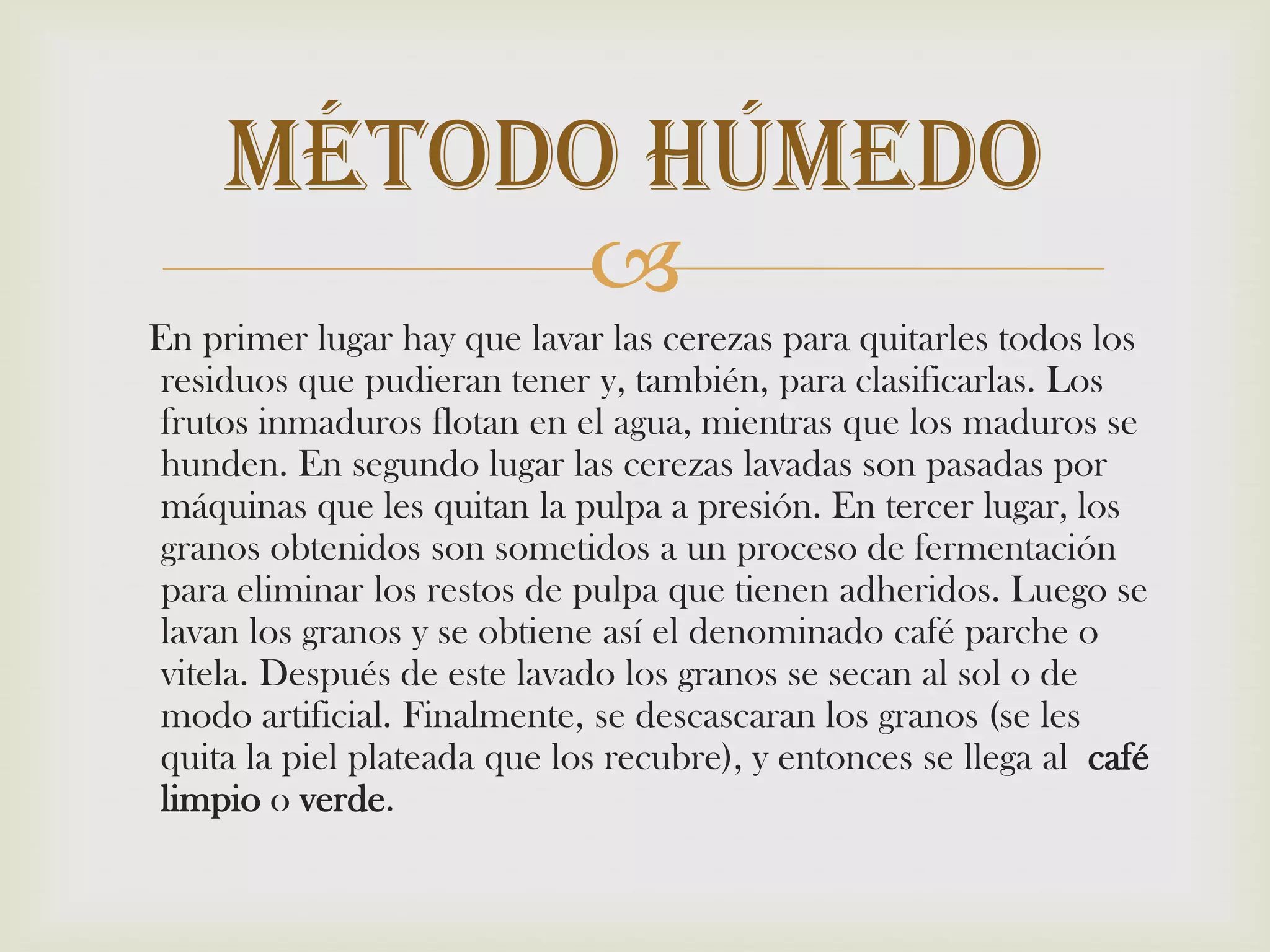     En primer lugar hay que lavar las cerezas para quitarles todos los residuos que pudieran tener y, también, para clasificarlas. Los frutos inmaduros flotan en el agua, mientras que los maduros se hunden. En segundo lugar las cerezas lavadas son pasadas por máquinas que les quitan la pulpa a presión. En tercer lugar, los granos obtenidos son sometidos a un proceso de fermentación para eliminar los restos de pulpa que tienen adheridos. Luego se lavan los granos y se obtiene así el denominado café parche o vitela. Después de este lavado los granos se secan al sol o de modo artificial. Finalmente, se descascaran los granos (se les quita la piel plateada que los recubre), y entonces se llega al  café limpio o verde.Método Húmedo 