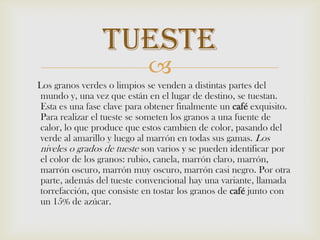     Los granos verdes o limpios se venden a distintas partes del mundo y, una vez que están en el lugar de destino, se tuestan. Esta es una fase clave para obtener finalmente un café exquisito. Para realizar el tueste se someten los granos a una fuente de calor, lo que produce que estos cambien de color, pasando del verde al amarillo y luego al marrón en todas sus gamas. Los niveles o grados de tueste son varios y se pueden identificar por el color de los granos: rubio, canela, marrón claro, marrón, marrón oscuro, marrón muy oscuro, marrón casi negro. Por otra parte, además del tueste convencional hay una variante, llamada torrefacción, que consiste en tostar los granos de café junto con un 15% de azúcar.Tueste 