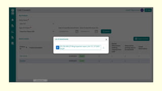 Comprehensive Guide to Using CAG Connect for Audit Management and ...