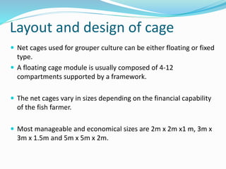 Cage Culture of Grouper and Cobia | PPTX
